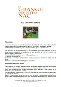 Guide Cochon d'Inde